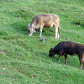 DSC06351